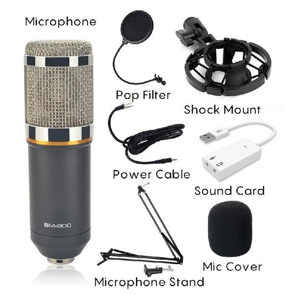 BM800 Professional Condenser Microphone Headphones & Audio - DailySale