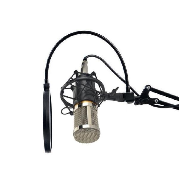 BM800 Professional Condenser Microphone Headphones & Audio - DailySale