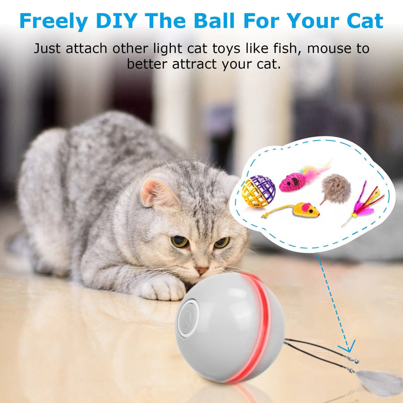 Cat Teaser Ball Automatic Self Rotating Interactive Cat Motion Exercise Toy Pet Supplies - DailySale