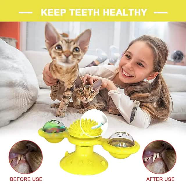 Cat Teases Interactive Pet Toy Pet Supplies - DailySale