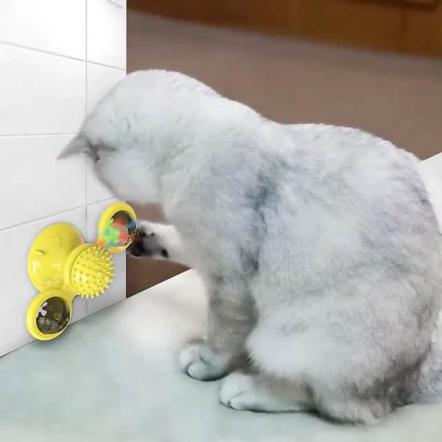 Cat Teases Interactive Pet Toy Pet Supplies - DailySale