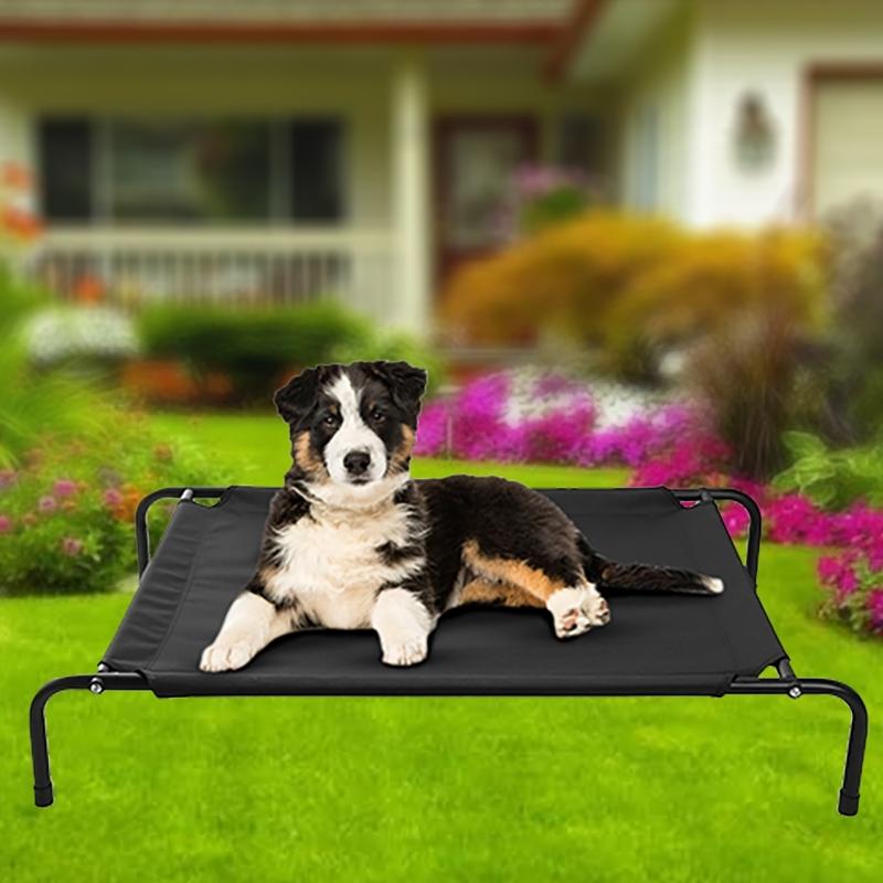 Cats and Dogs Elevated Pet Bed Pet Supplies - DailySale