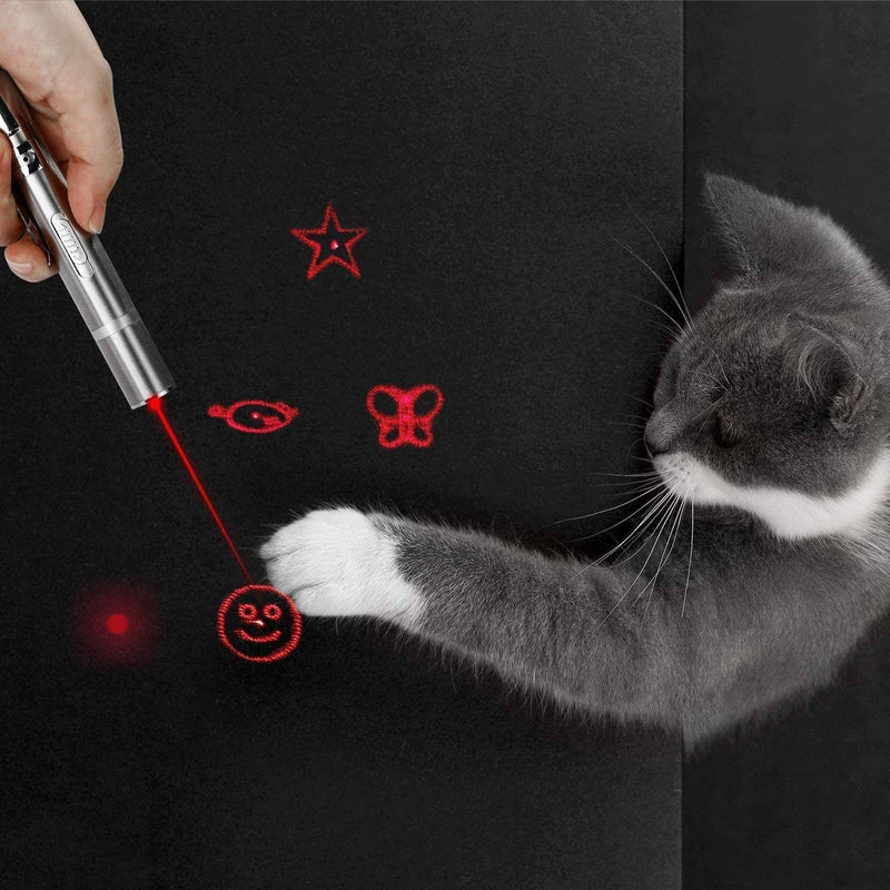 Cats Indoor and Outdoor Laser Toy Pet Supplies - DailySale