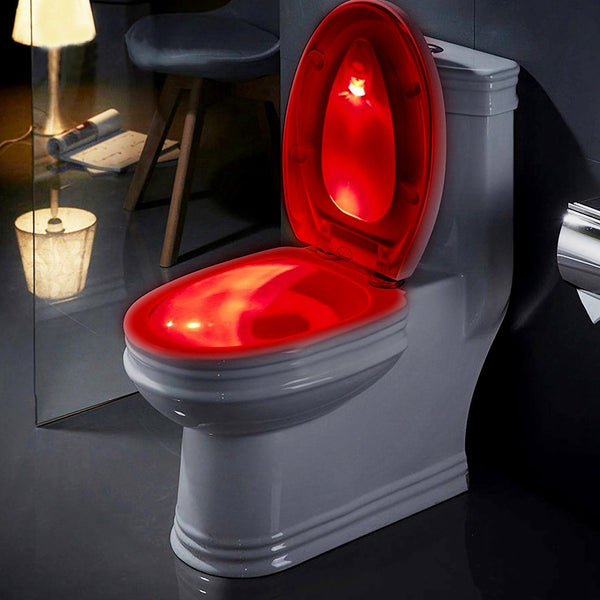 DailySale Smart PIR Motion Sensor Toilet Seat Night Light