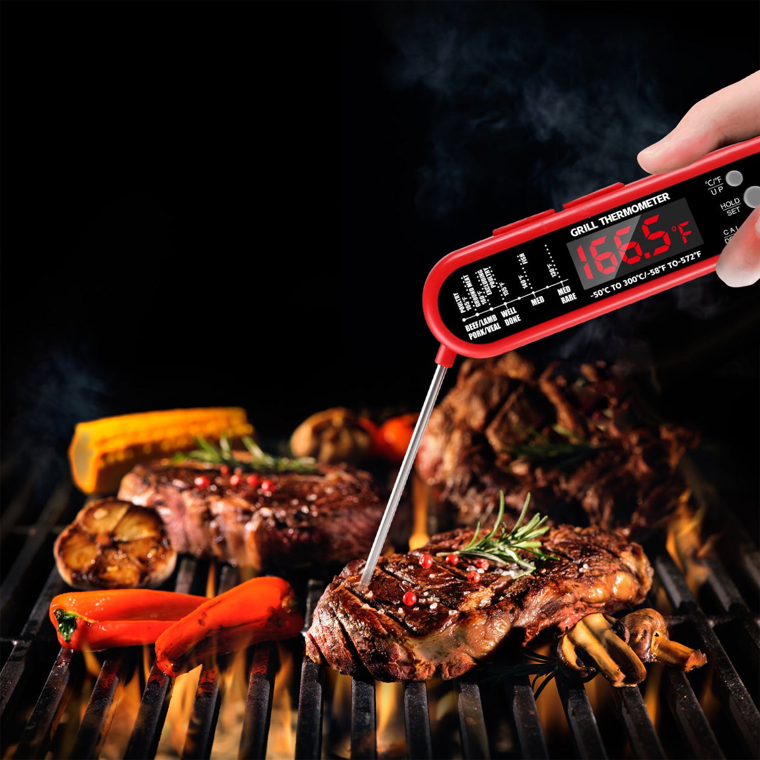 Digital Thermometer BBQ Meat Food Cooking Temperature Tester Kitchen Tools & Gadgets - DailySale