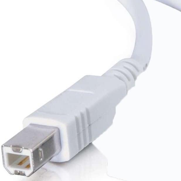 Digitron USB 2.0 Illuminated Flashing Cable Computer Accessories - DailySale