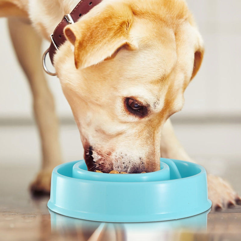 Dog Cat Slow Feeder Bowl Pet Supplies - DailySale
