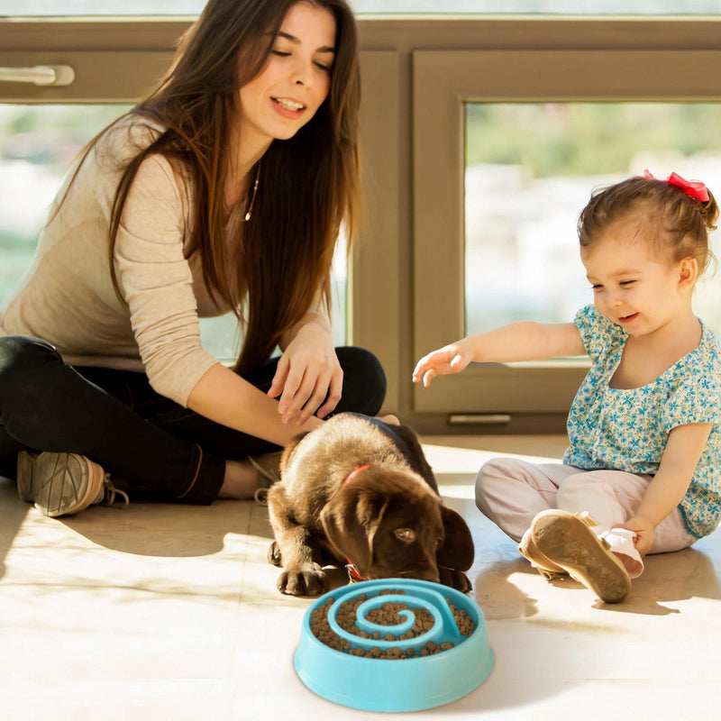 Dog Cat Slow Feeder Bowl Pet Supplies - DailySale