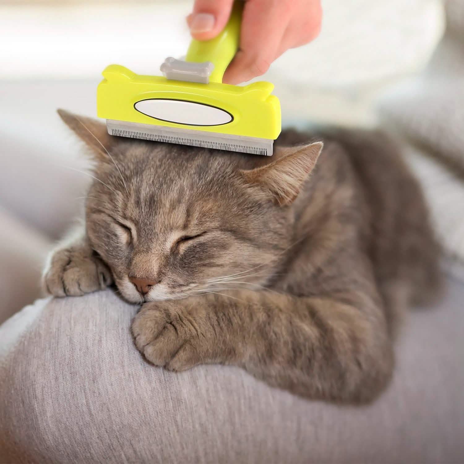 Dog Grooming Brush Comb Pet Hair Remover Pet Supplies - DailySale