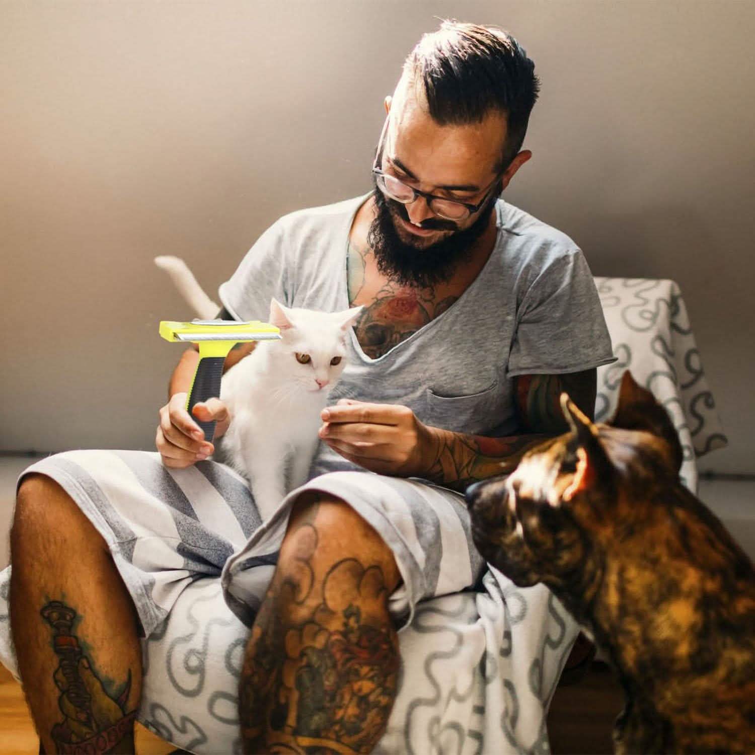 Dog Grooming Brush Comb Pet Hair Remover Pet Supplies - DailySale