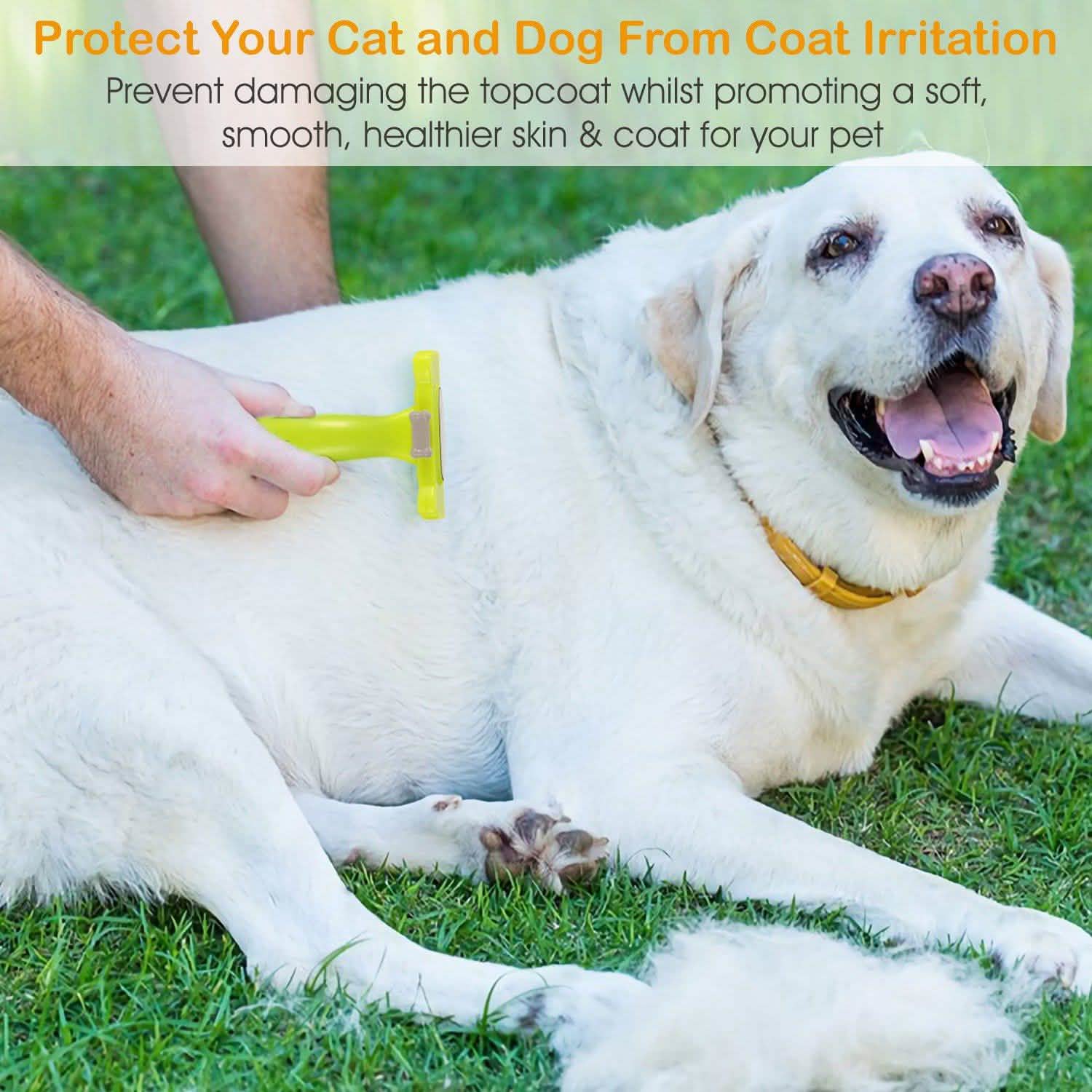 Dog Grooming Brush Comb Pet Hair Remover Pet Supplies - DailySale