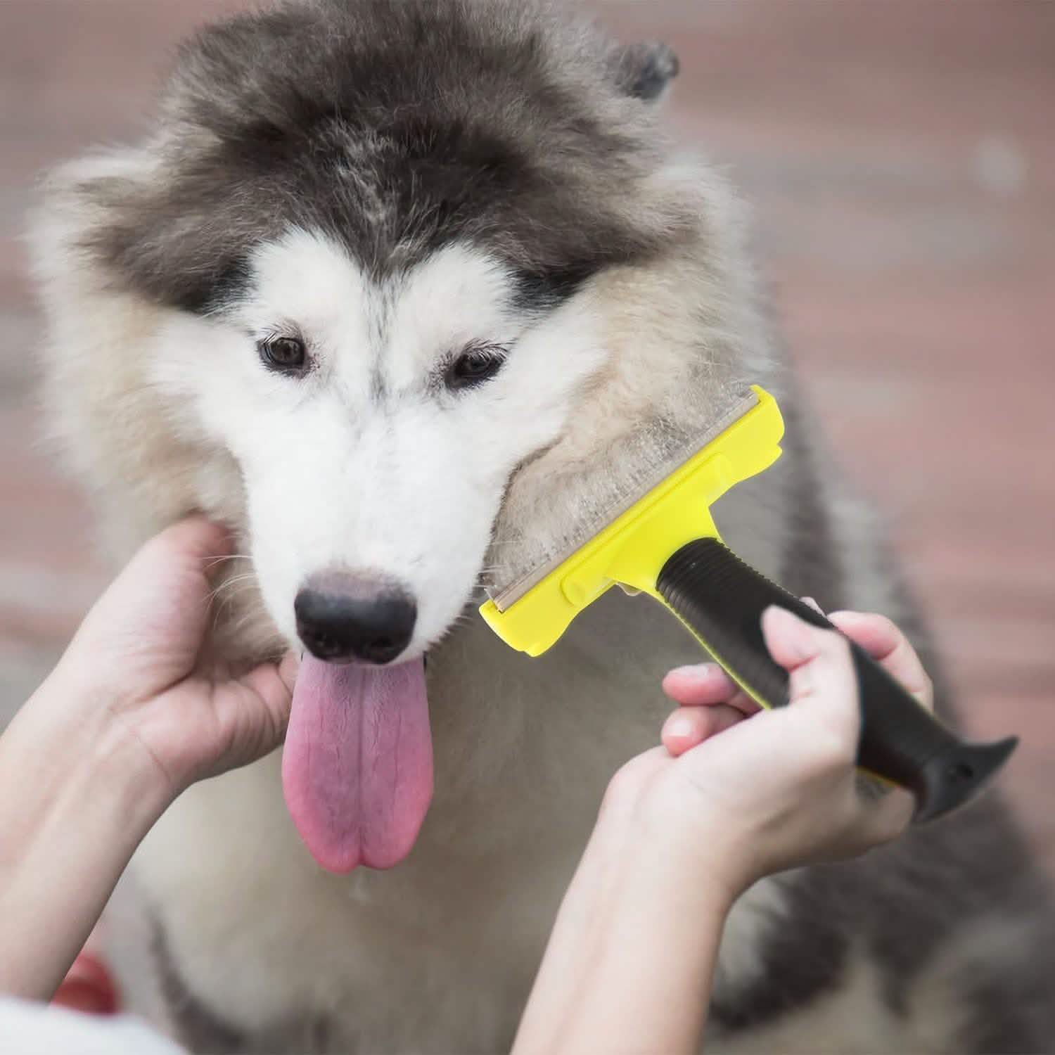 Dog Grooming Brush Comb Pet Hair Remover Pet Supplies - DailySale