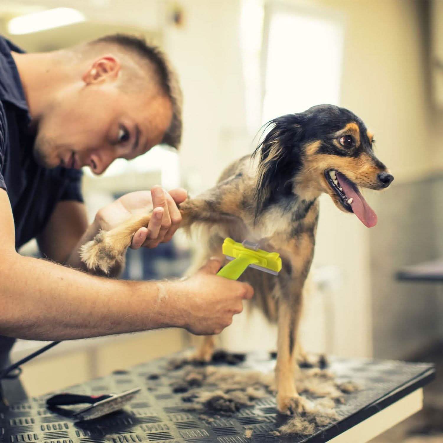 Dog Grooming Brush Comb Pet Hair Remover Pet Supplies - DailySale