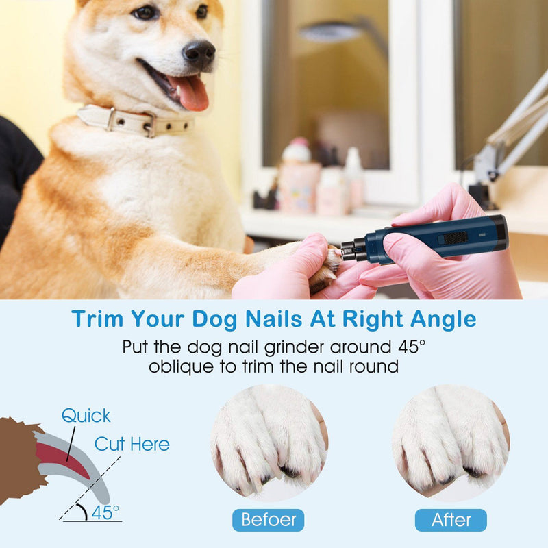 Best Dog Nail Grinder: Quiet Electric Options To File Your Dog's Nails