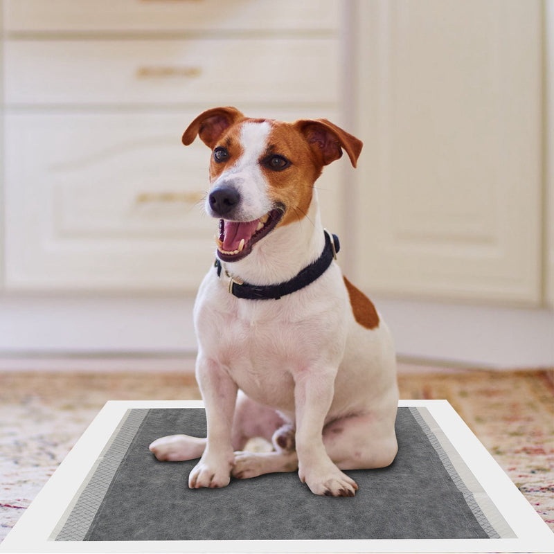 Dog Pee Training Pads Super Absorbent Pet Supplies - DailySale