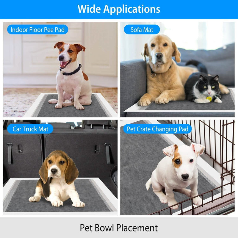 Dog Pee Training Pads Super Absorbent Pet Supplies - DailySale