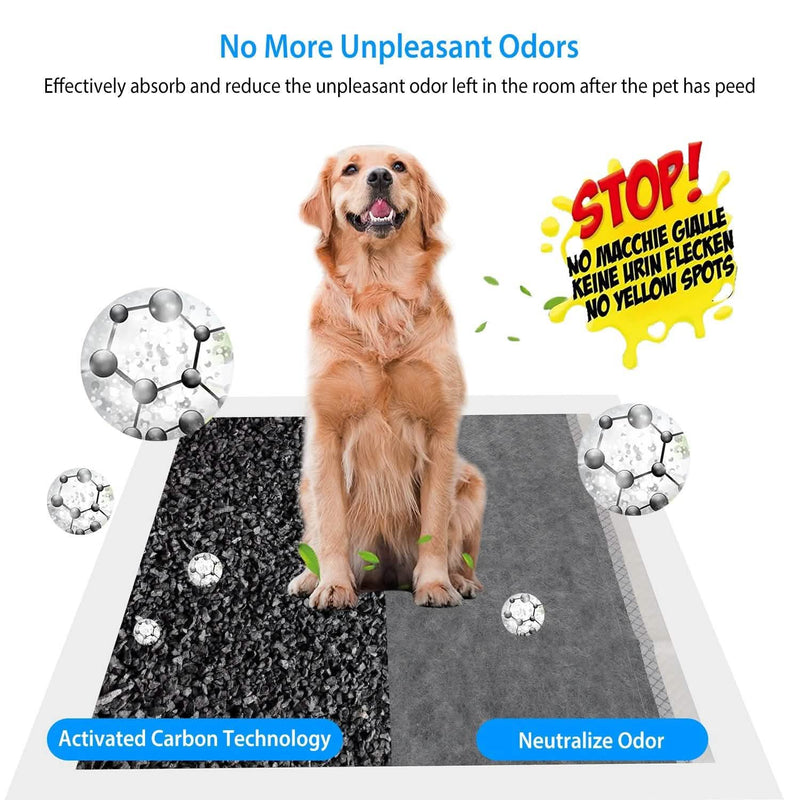 Dog Pee Training Pads Super Absorbent Pet Supplies - DailySale