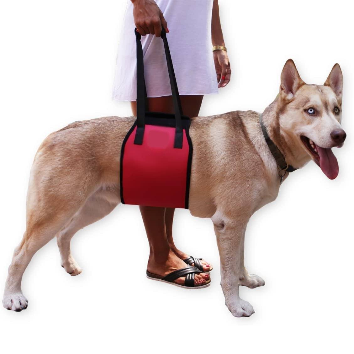 Sling Bag + Dog Leash