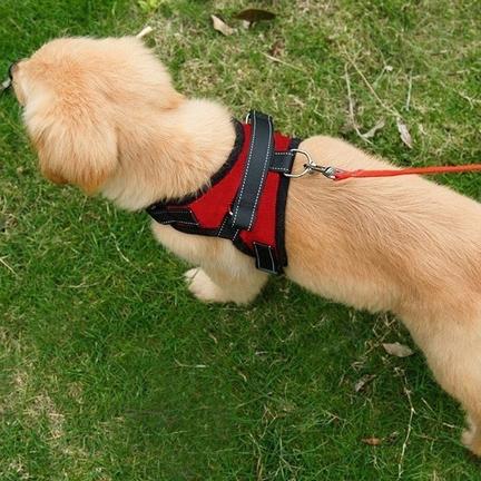 Dog Soft Adjustable Harness Pet Supplies - DailySale