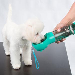 Dog Water Bottle Portable Leak Proof for Hiking Climbing Travel Pet Supplies - DailySale