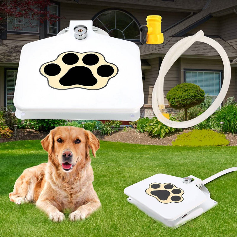 Dog Water Fountain Pet Supplies - DailySale