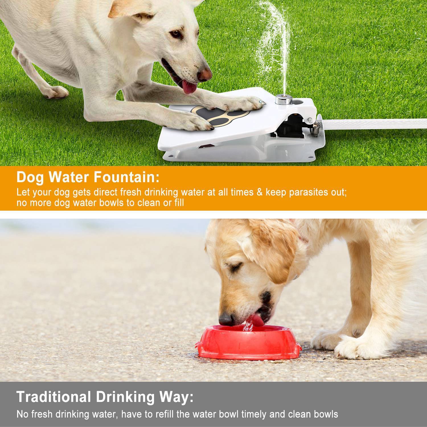 Water fountain outlet dog toy