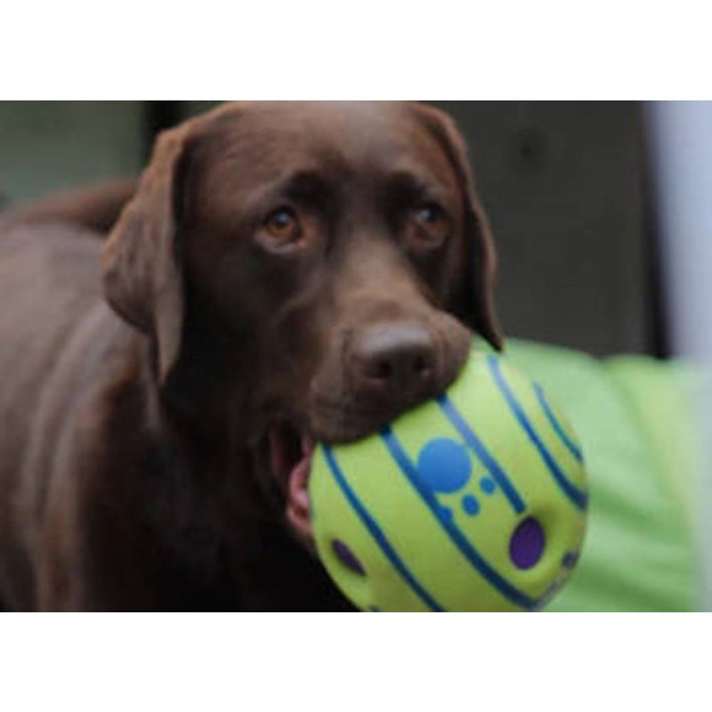 Doggies Ball Interactive Dog Toy Pet Supplies - DailySale