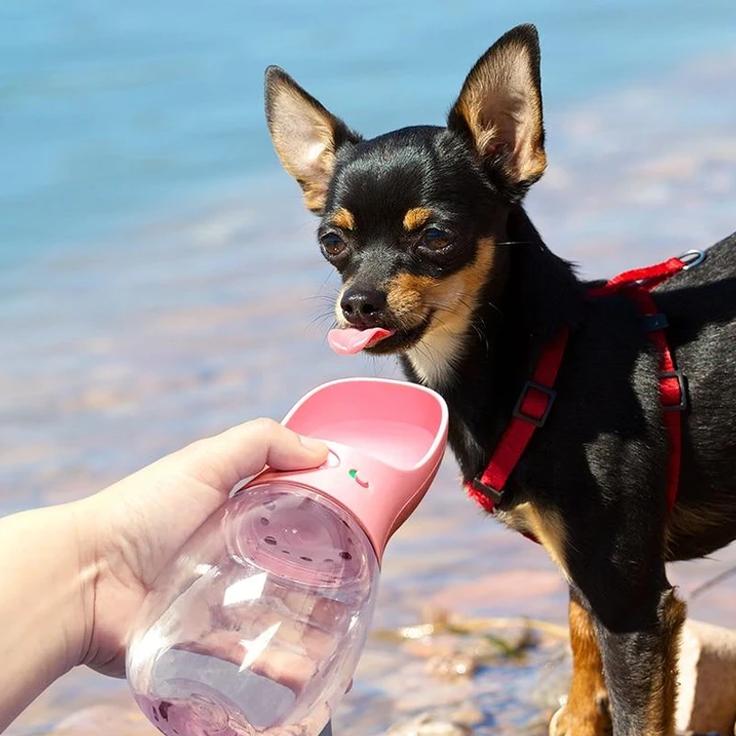Doggy Bottle Pet Supplies - DailySale