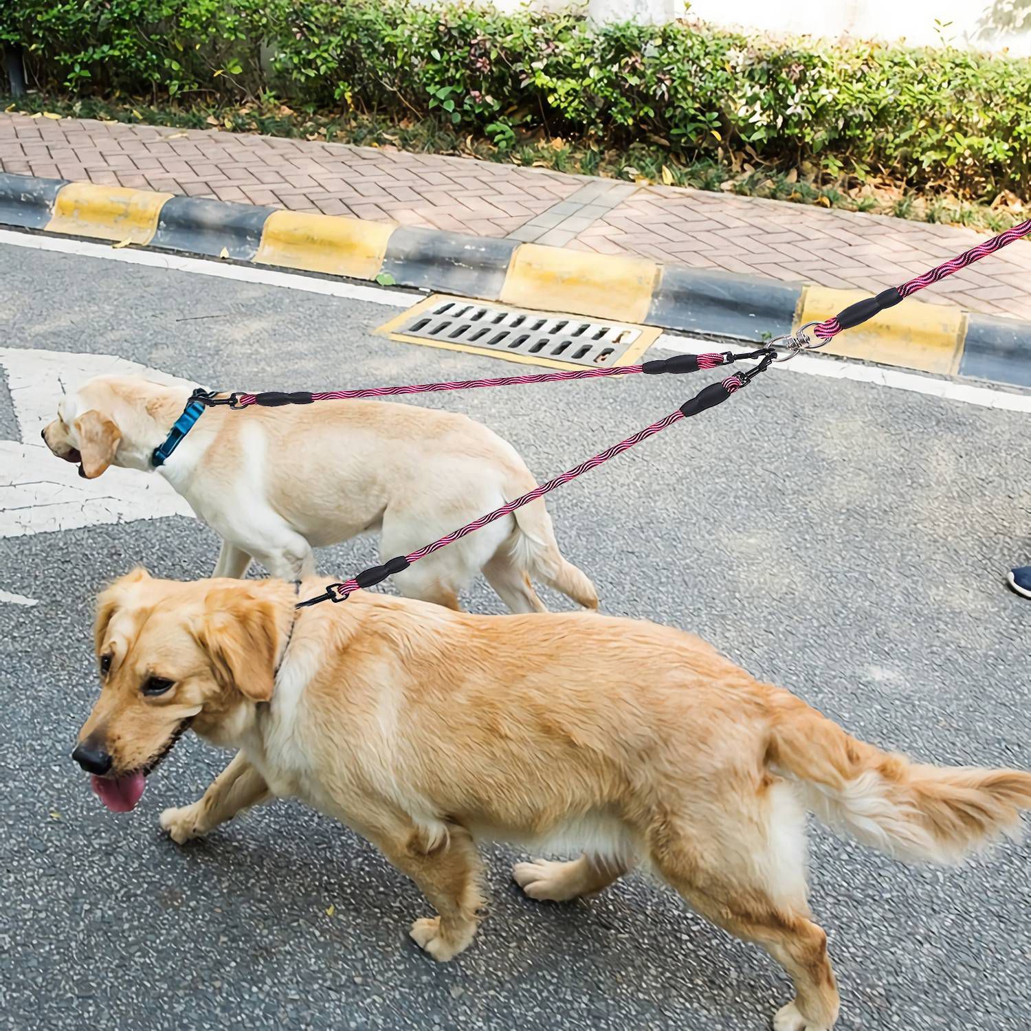 Double Dog Leash No-Tangle with Swivel Coupler Padded Handle Pet Supplies - DailySale