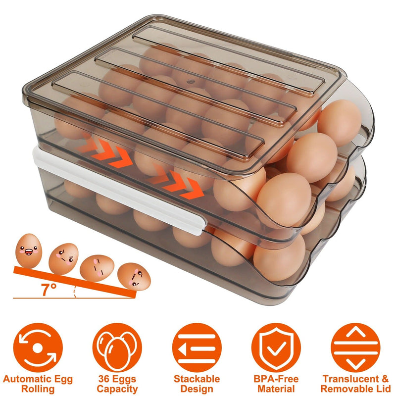 Double Layer Egg Storage for Refrigerator Kitchen Storage - DailySale