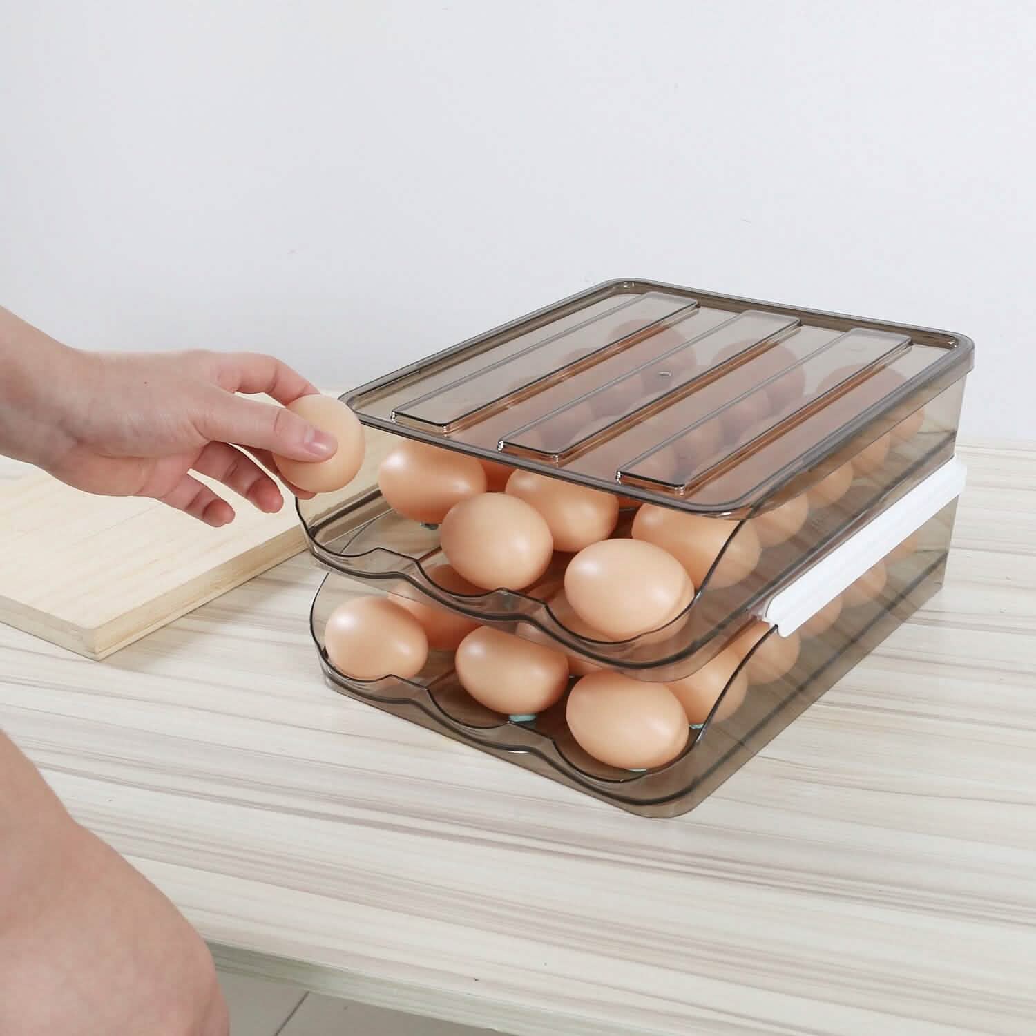 Double Layer Egg Storage for Refrigerator Kitchen Storage - DailySale