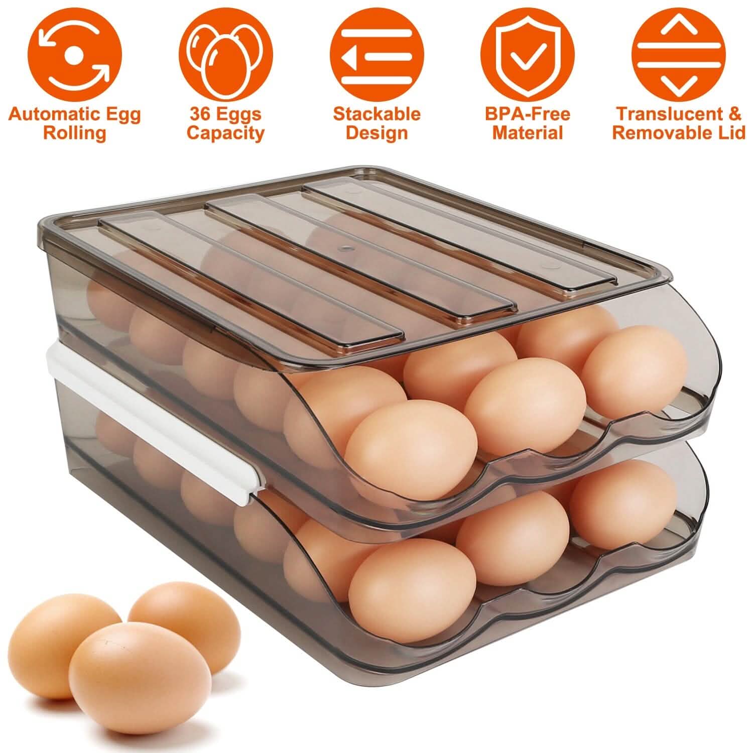 Double Layer Egg Storage for Refrigerator Kitchen Storage - DailySale