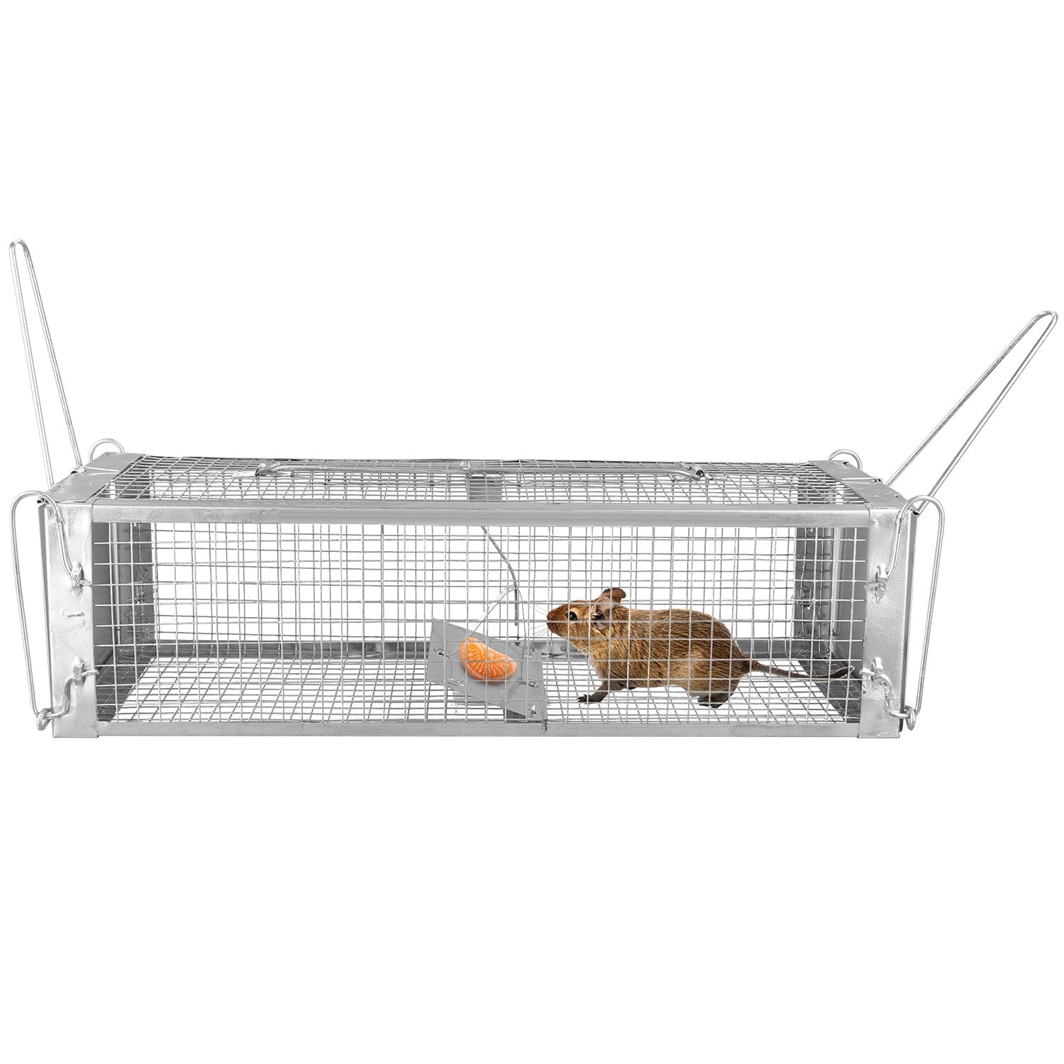 Dual Door Rat Trap Cage Humane with 2 Detachable U Shape Rod Pest Control - DailySale