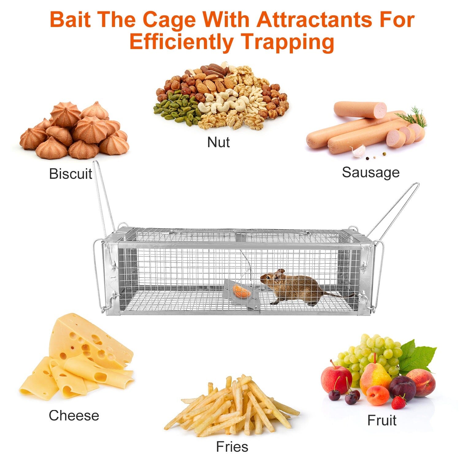 Dual Door Rat Trap Cage Humane with 2 Detachable U Shape Rod Pest Control - DailySale