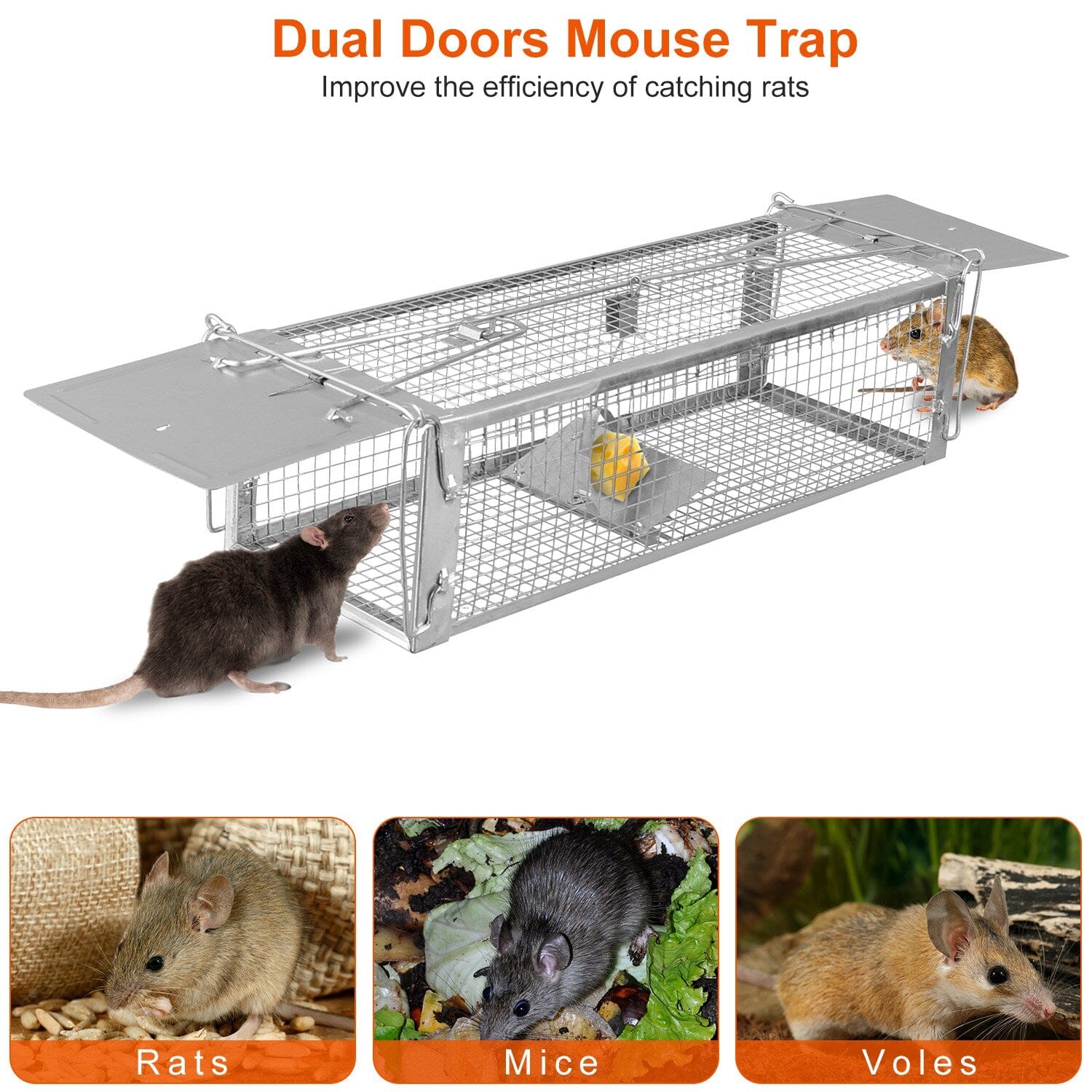 Dual Door Rat Trap Cage Humane with 2 Detachable U Shape Rod Pest Control - DailySale