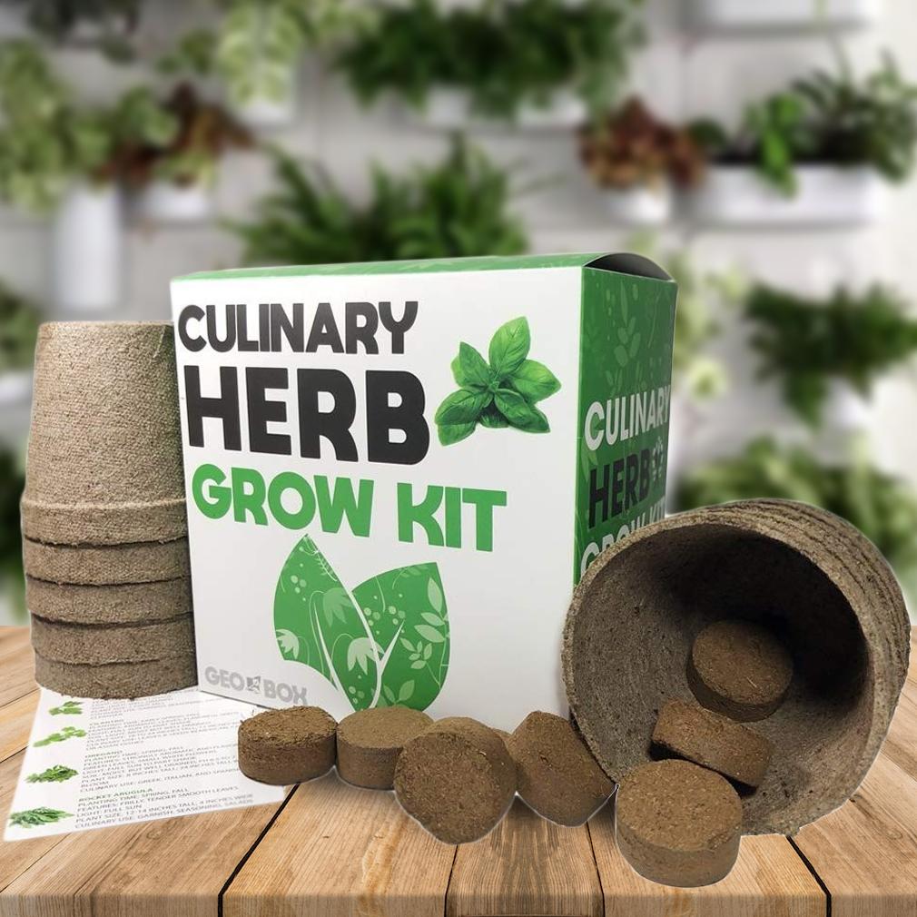 Easily Grow 10 Culinary Herb Garden Kit Kitchen Essentials - DailySale