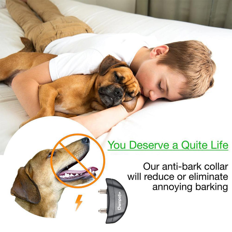 Electric Pet Dog Anti-Bark Training Collar Safe Tone Shock Control Adjustable Pet Supplies - DailySale