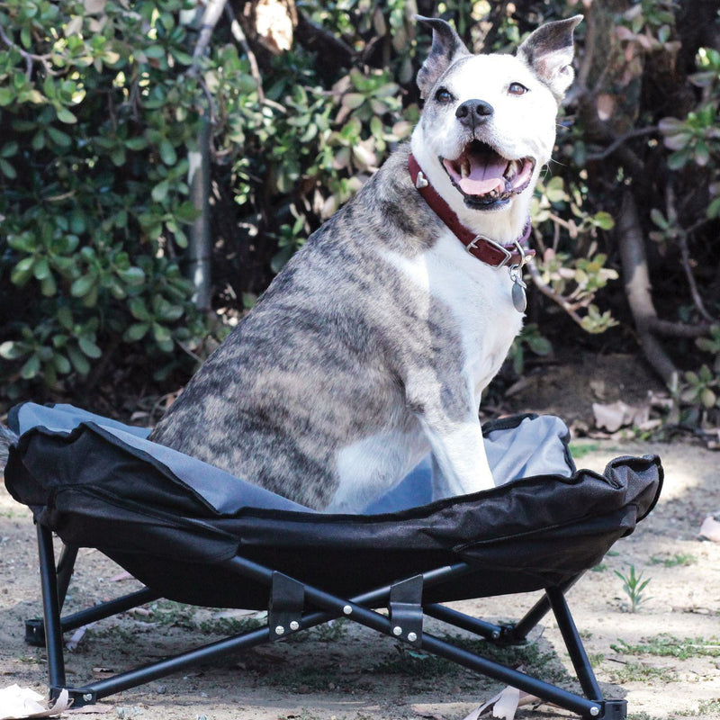 Elevated Camping Pet Bed Medium Pet Supplies - DailySale