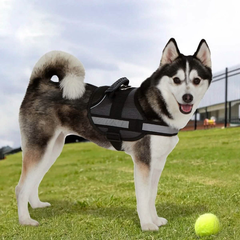 Ez-Pet Vest Collar Soft Adjustable Harness Pet Supplies - DailySale