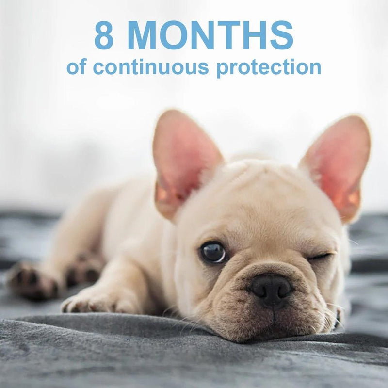 Flea Collar Dogs 8-month Flea and Tick Prevention for Dogs 3 Months of Age and Older Pet Supplies - DailySale