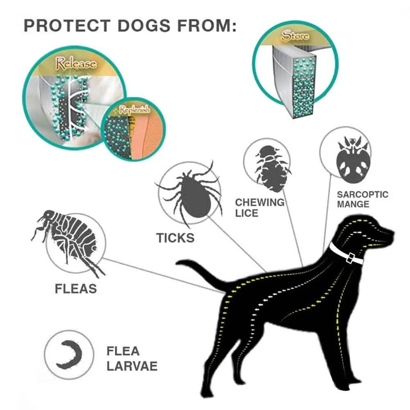 Flea Collar Dogs 8-month Flea and Tick Prevention for Dogs 3 Months of Age and Older Pet Supplies - DailySale