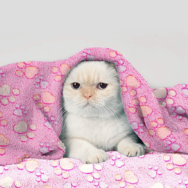 Fluffy Dog Cat Blanket Pet Supplies - DailySale