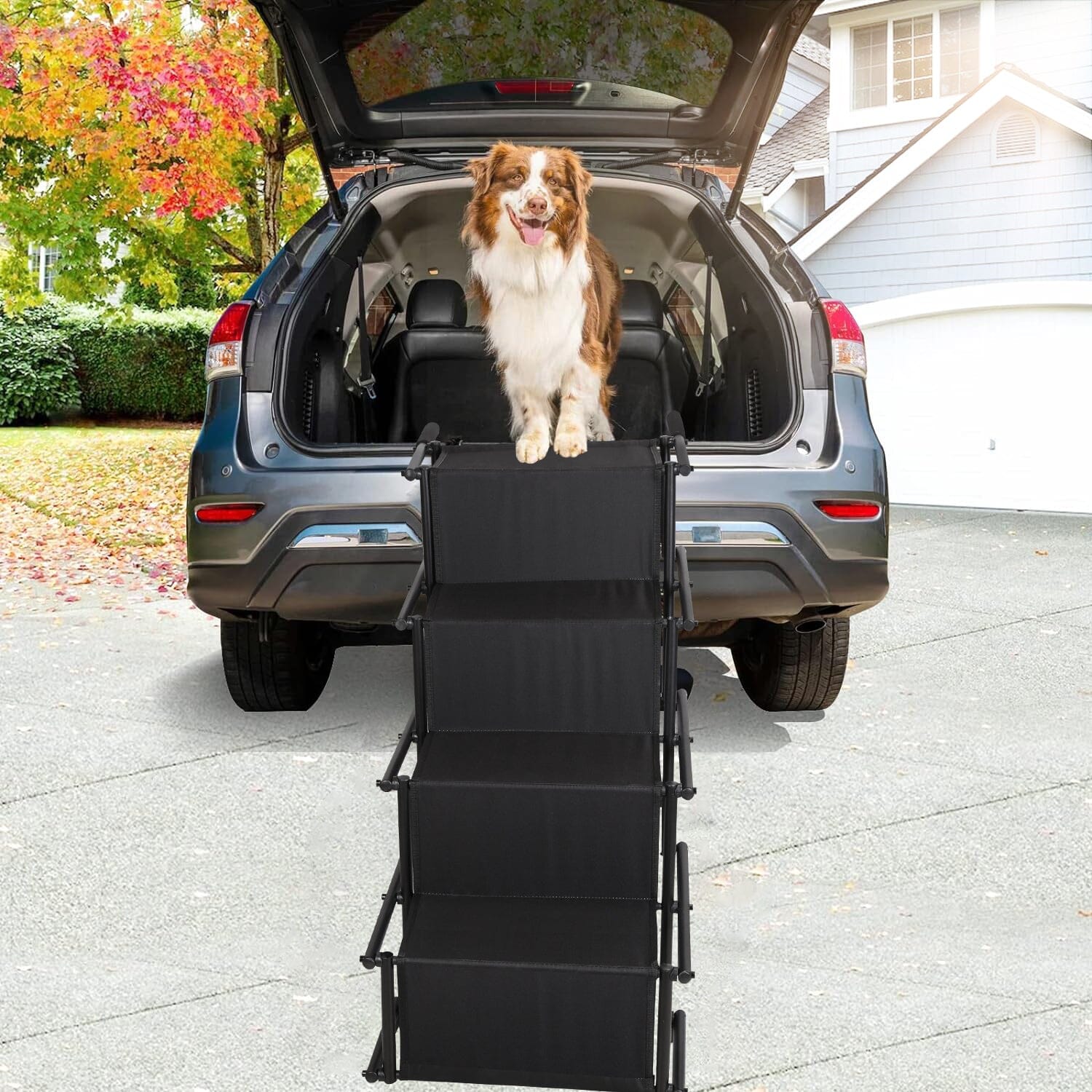 Foldable Dog Ramp 4 Step Collapsible Non Slip Stairs Pet Supplies - DailySale