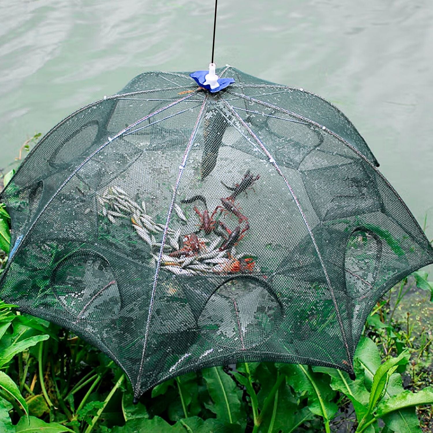 Foldable Fishing Bait Net Trap Sports & Outdoors - DailySale