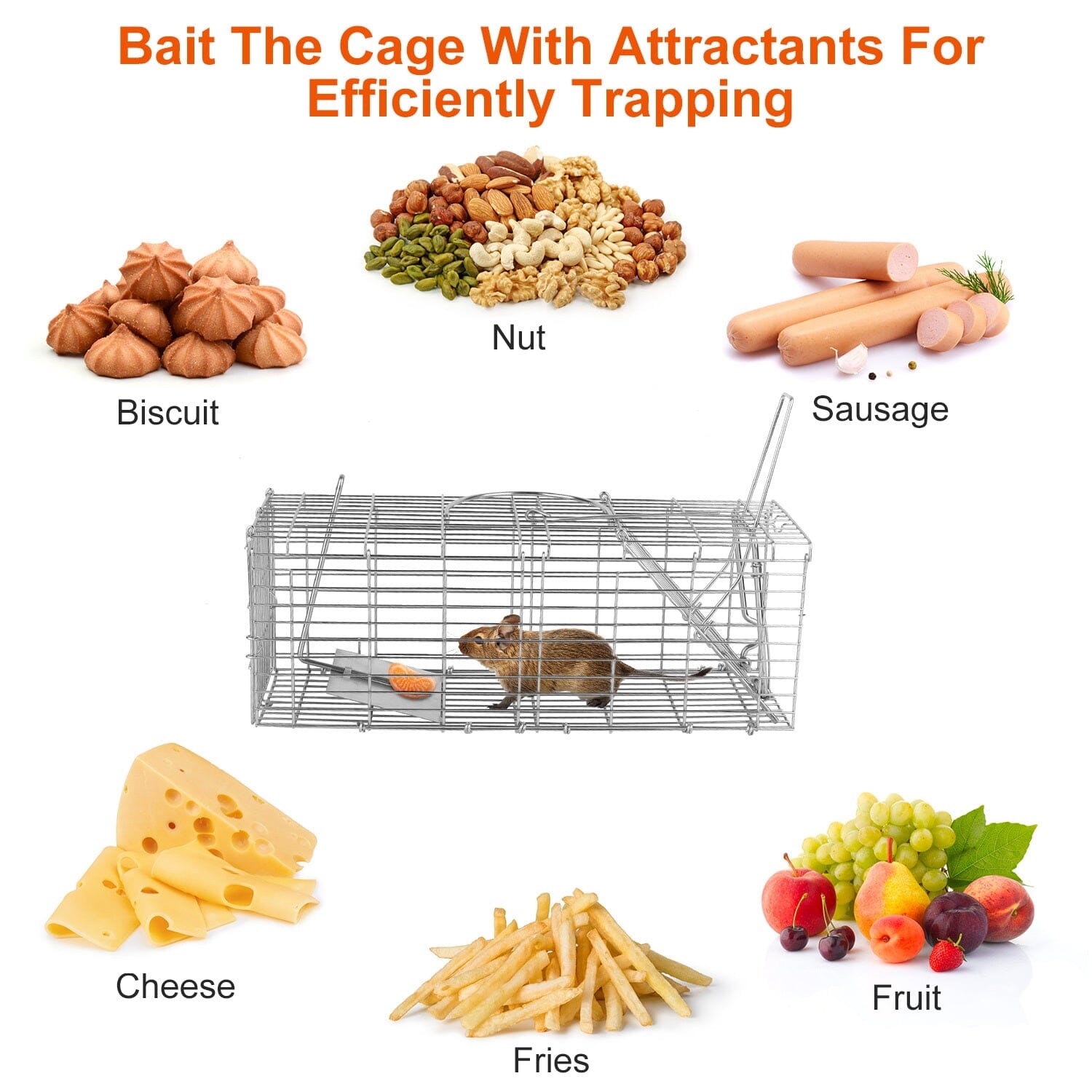 Foldable Rat Trap Cage Humane Live Rodent Trap Cage Pest Control - DailySale