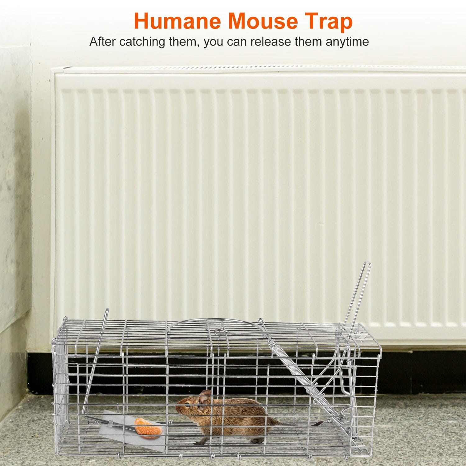 Foldable Rat Trap Cage Humane Live Rodent Trap Cage Pest Control - DailySale