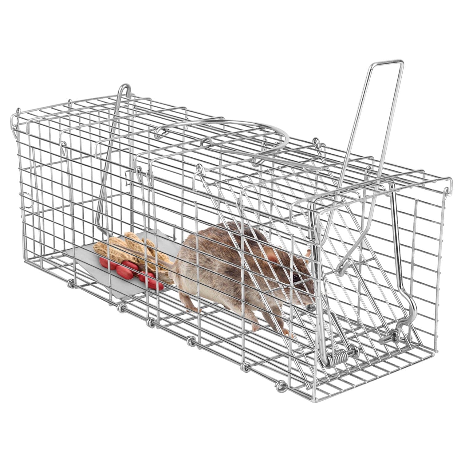 Foldable Rat Trap Cage Humane Live Rodent Trap Cage Pest Control - DailySale