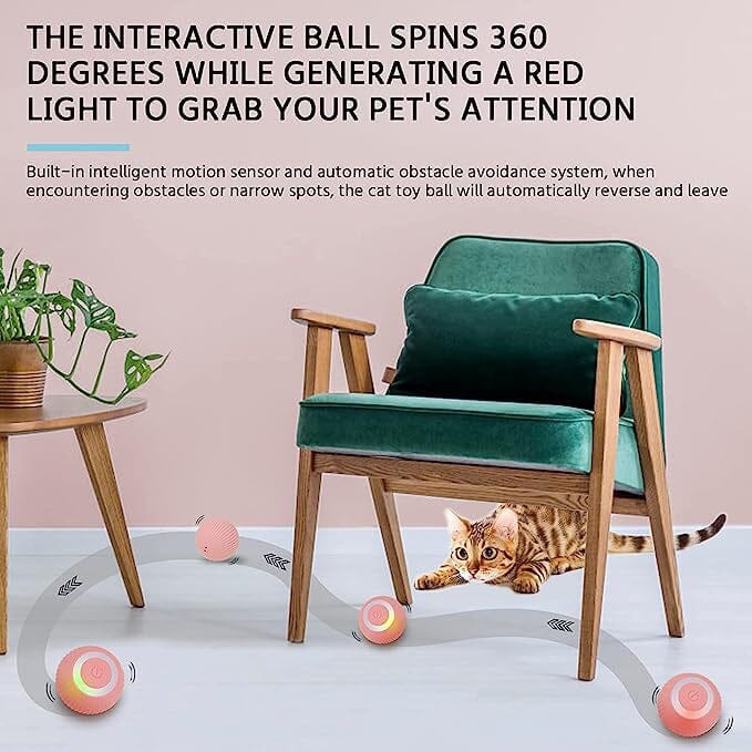 Found Notice Smart Interactive Cat Toy Pet Supplies - DailySale