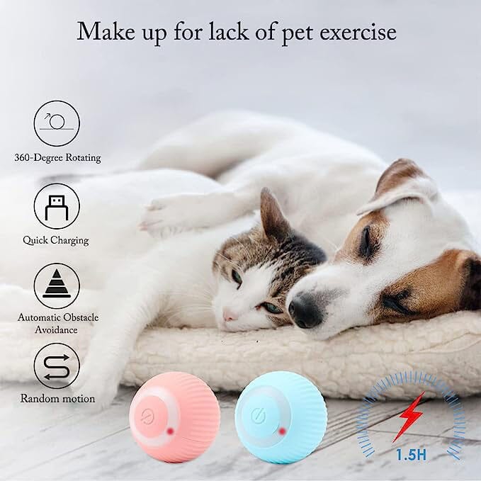 Found Notice Smart Interactive Cat Toy Pet Supplies - DailySale