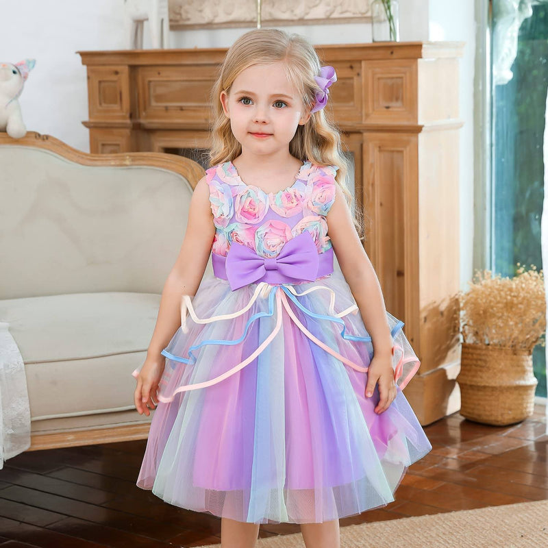 Girl's Rainbow Tulle Lace Dress